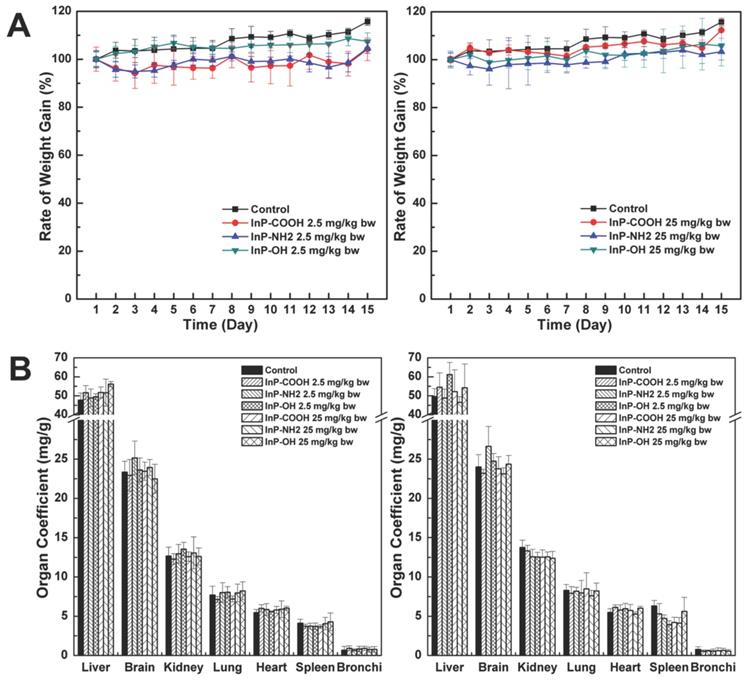 biodistribution and acute toxicity of cadmium-free quantum dots