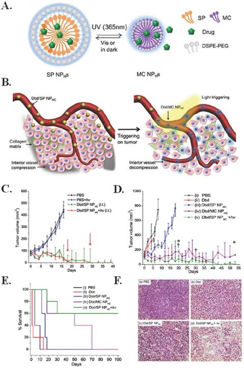 Nanotheranostics Image