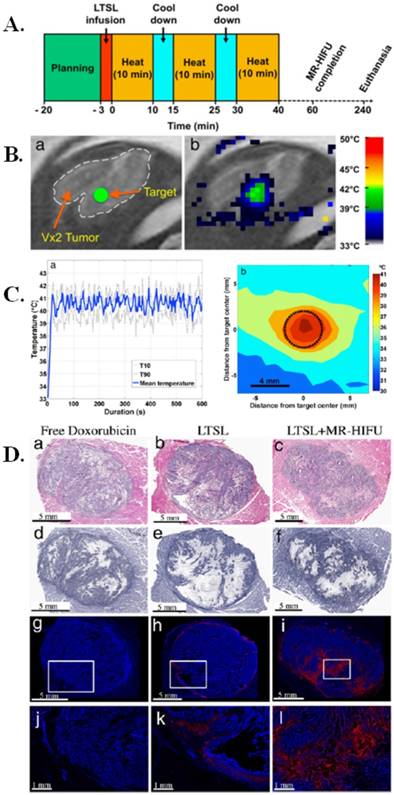 Nanotheranostics Image