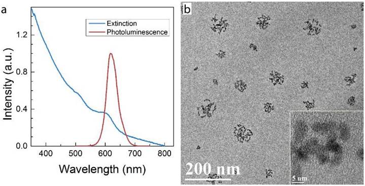 Nanotheranostics Image