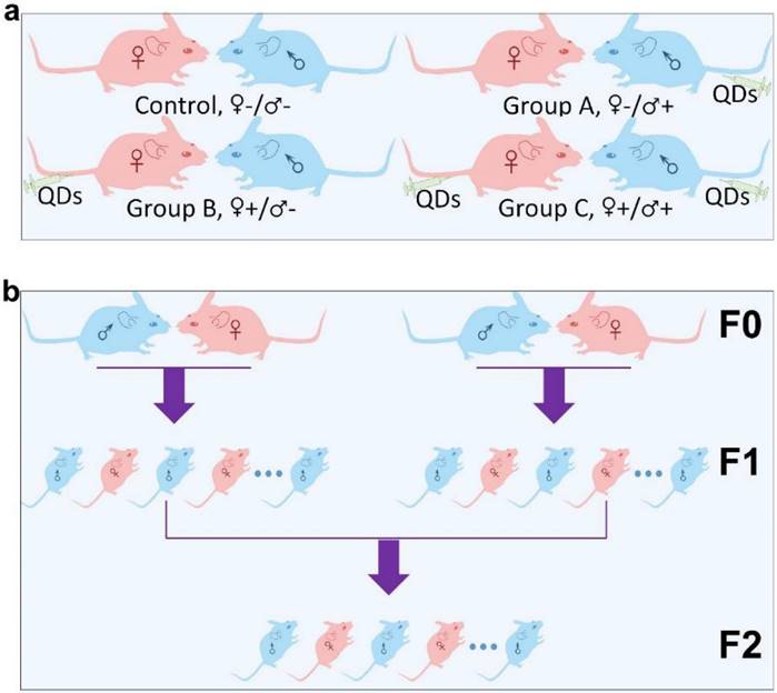 Nanotheranostics Image