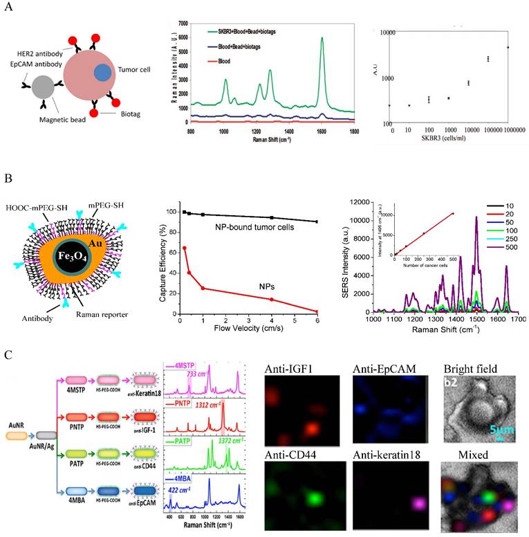 Nanotheranostics Image