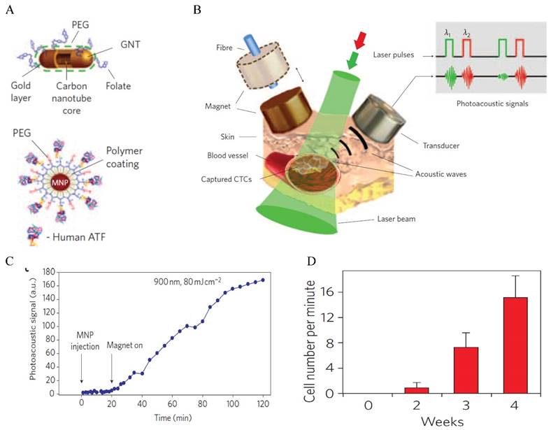 Nanotheranostics Image