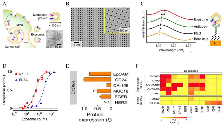 Nanotheranostics Image