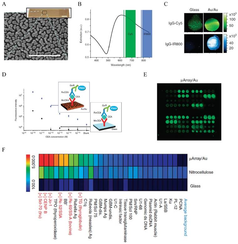 Nanotheranostics Image