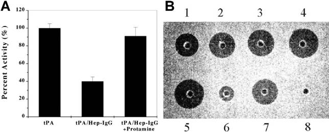 Nanotheranostics Image