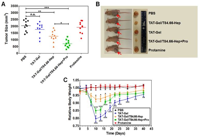 Nanotheranostics Image