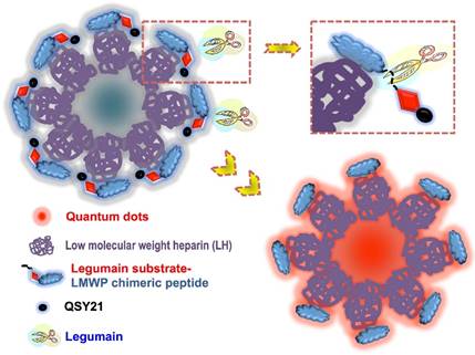 Nanotheranostics Image