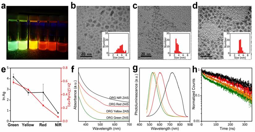 Nanotheranostics Image