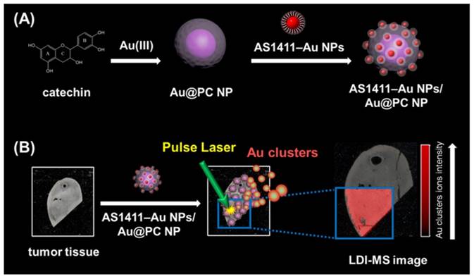 Nanotheranostics Image