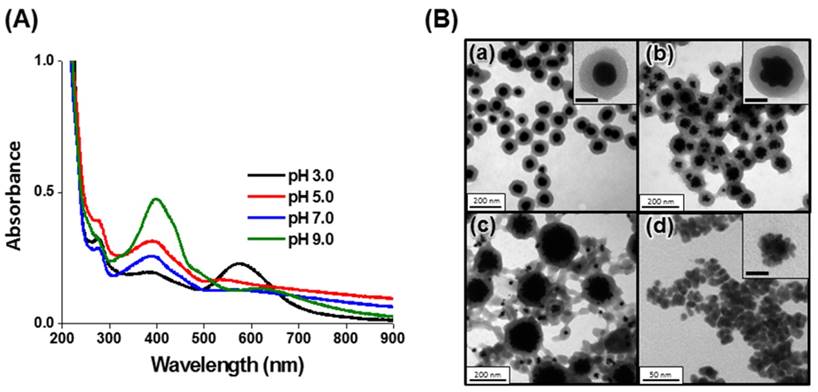 Nanotheranostics Image