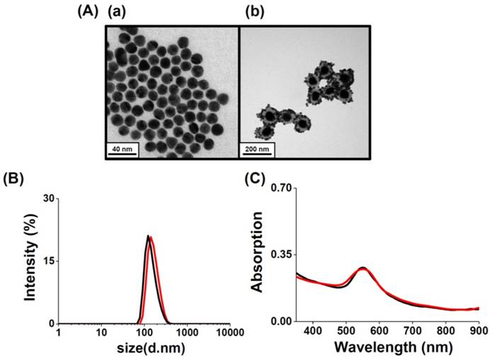 Nanotheranostics Image