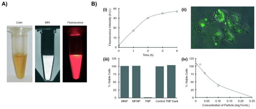 Nanotheranostics Image