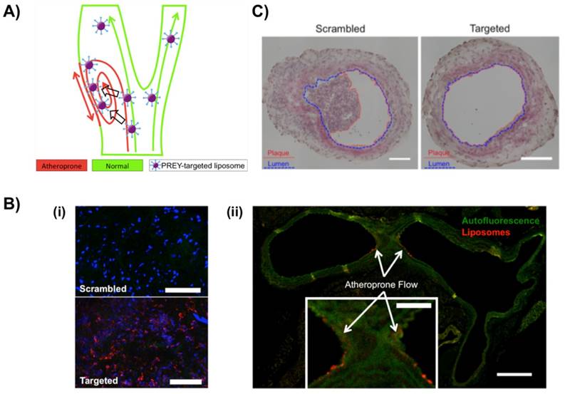 Nanotheranostics Image