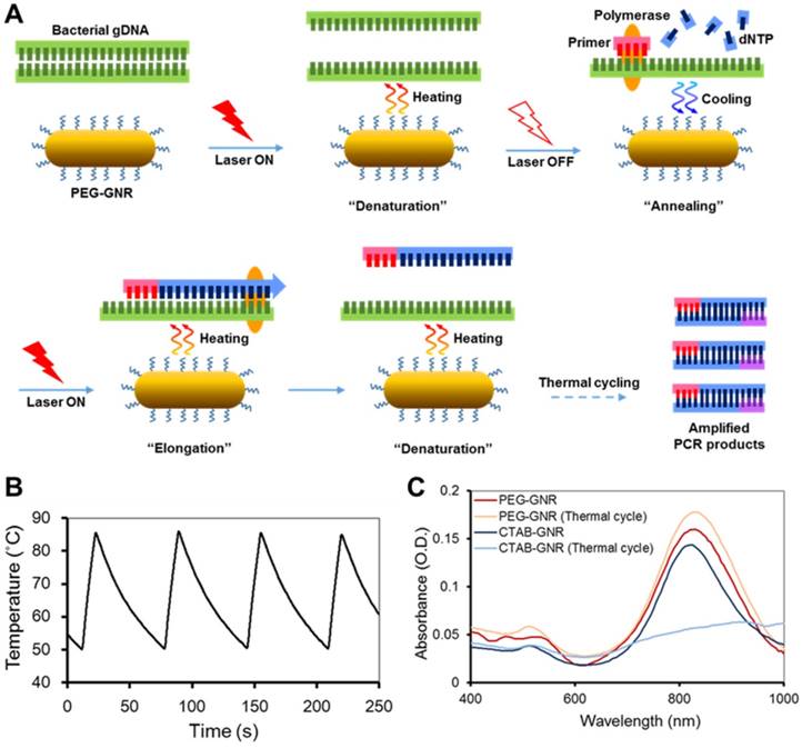 Nanotheranostics Image