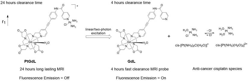 Nanotheranostics Image