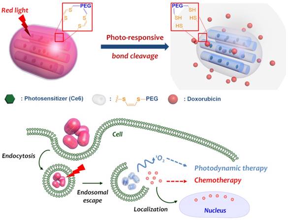 Nanotheranostics Image