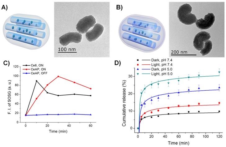 Nanotheranostics Image