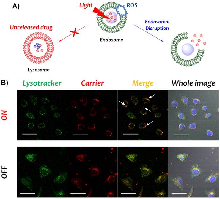 Nanotheranostics Image