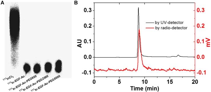 Nanotheranostics Image