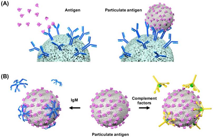 Nanotheranostics Image