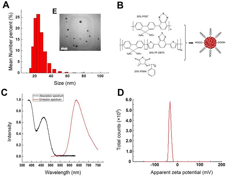 Nanotheranostics Image