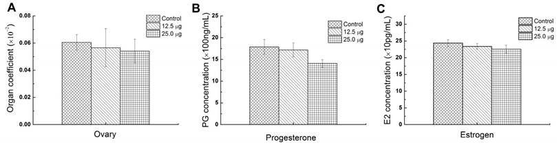 Nanotheranostics Image