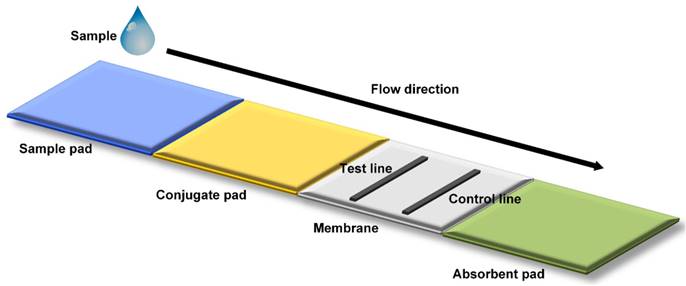 Nanotheranostics Image