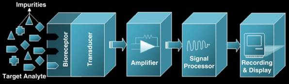 Nanotheranostics Image