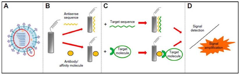 Nanotheranostics Image