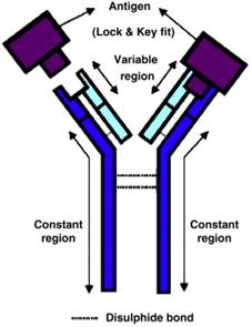 Nanotheranostics Image