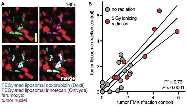 Nanotheranostics Image