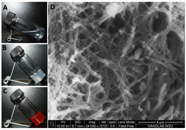 Nanotheranostics Image