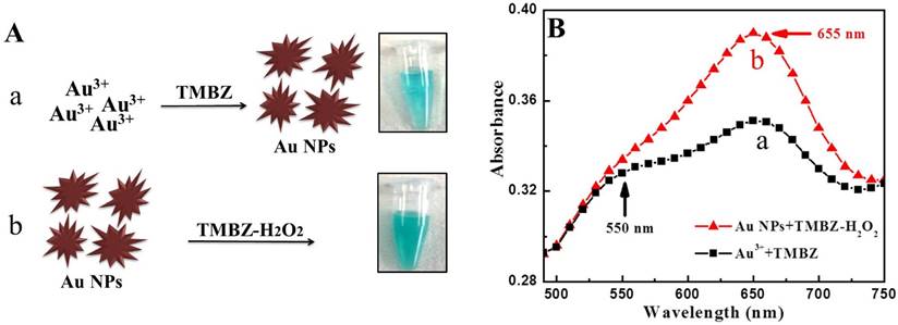 Nanotheranostics Image