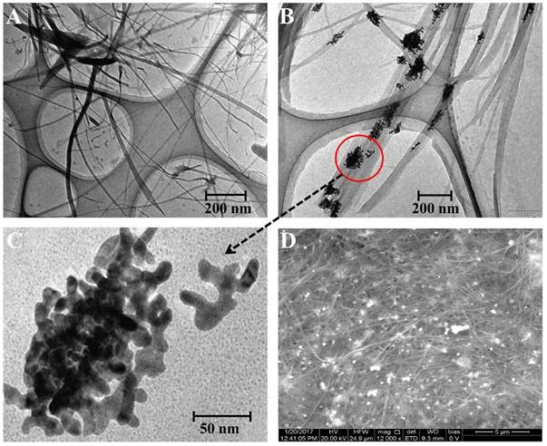 Nanotheranostics Image