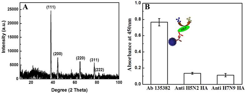 Nanotheranostics Image