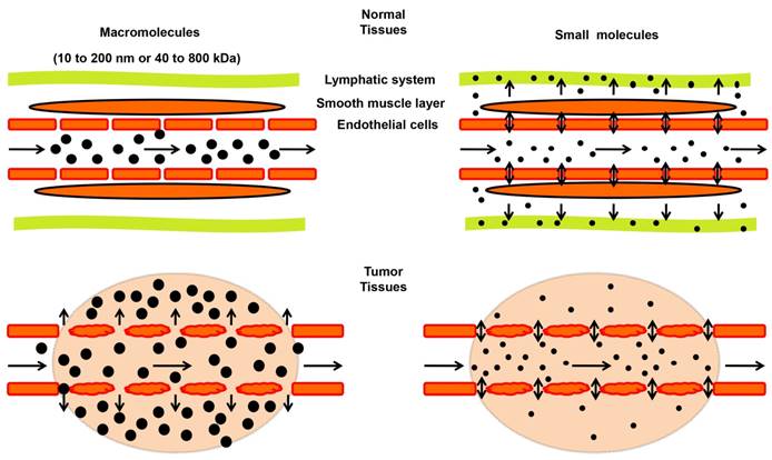 Nanotheranostics Image