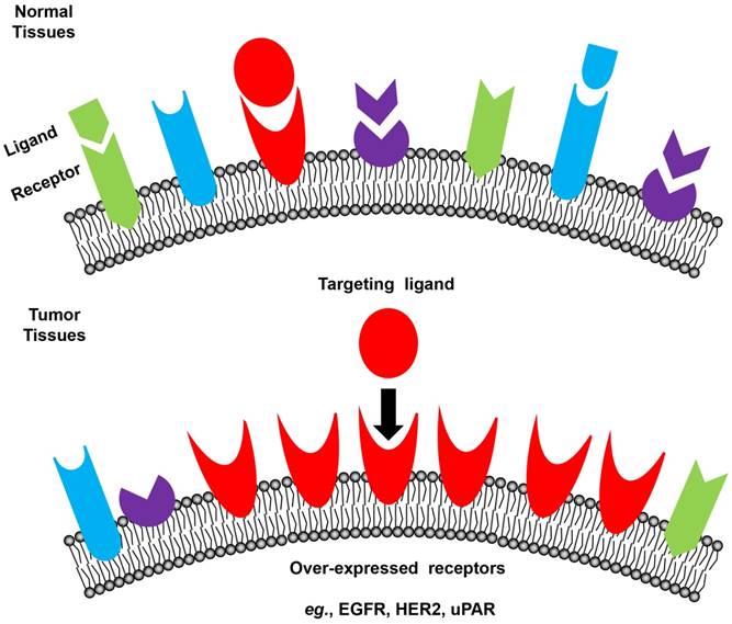 Nanotheranostics Image