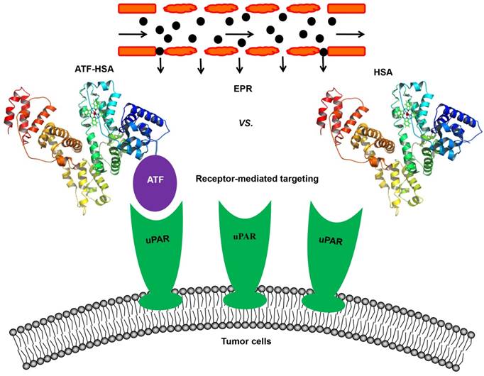 Nanotheranostics Image