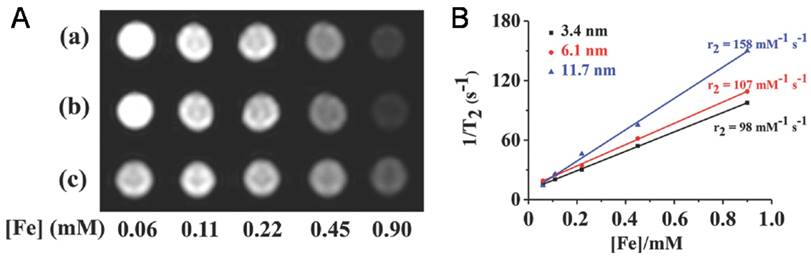 Nanotheranostics Image