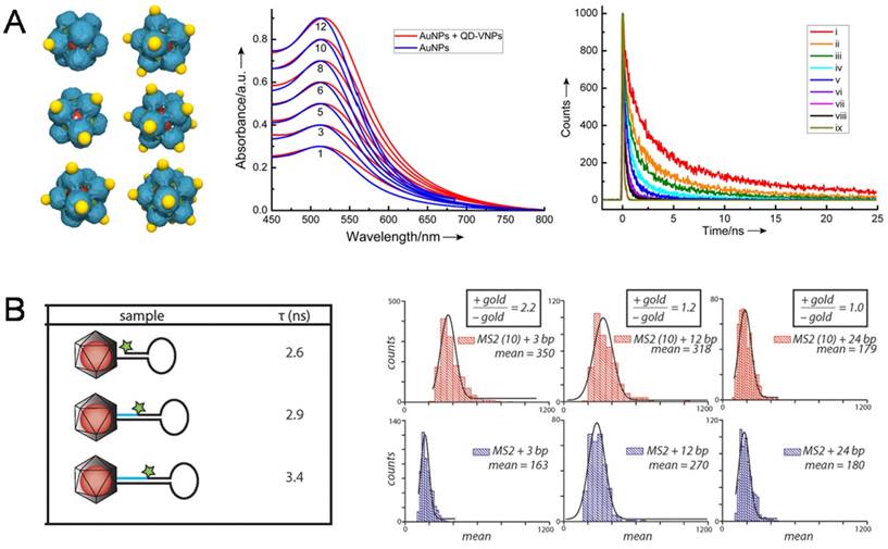 Nanotheranostics Image