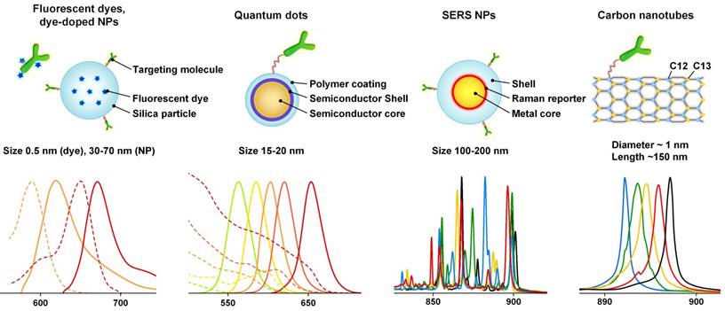 Nanotheranostics Image