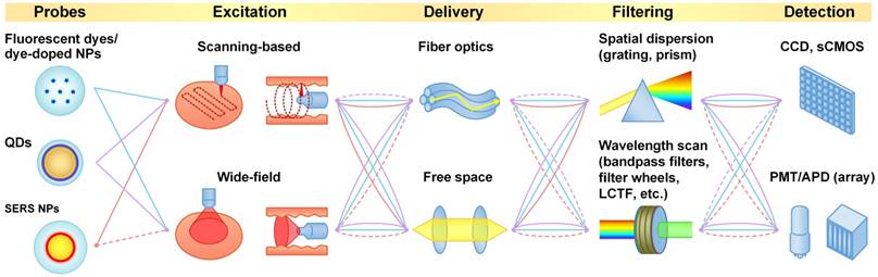 Nanotheranostics Image