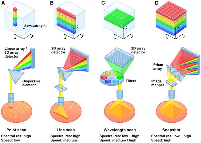 Nanotheranostics Image