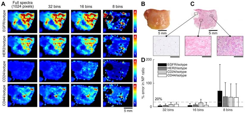 Nanotheranostics Image