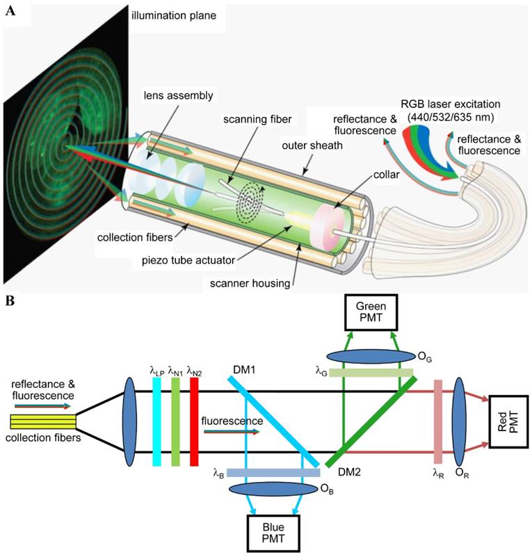 Nanotheranostics Image