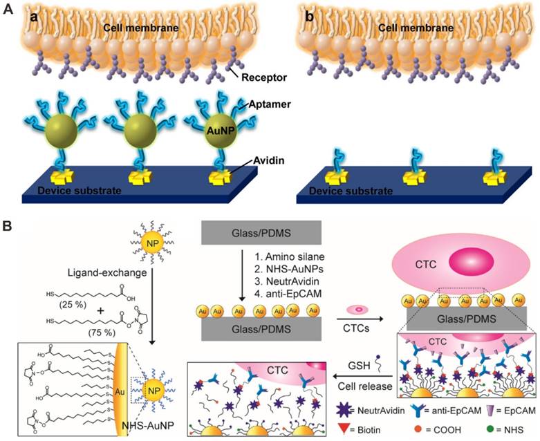 Nanotheranostics Image