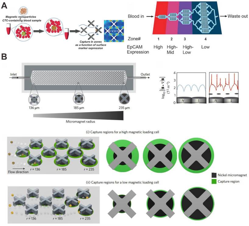 Nanotheranostics Image