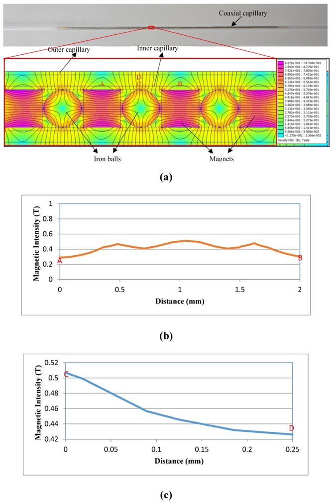 Nanotheranostics Image