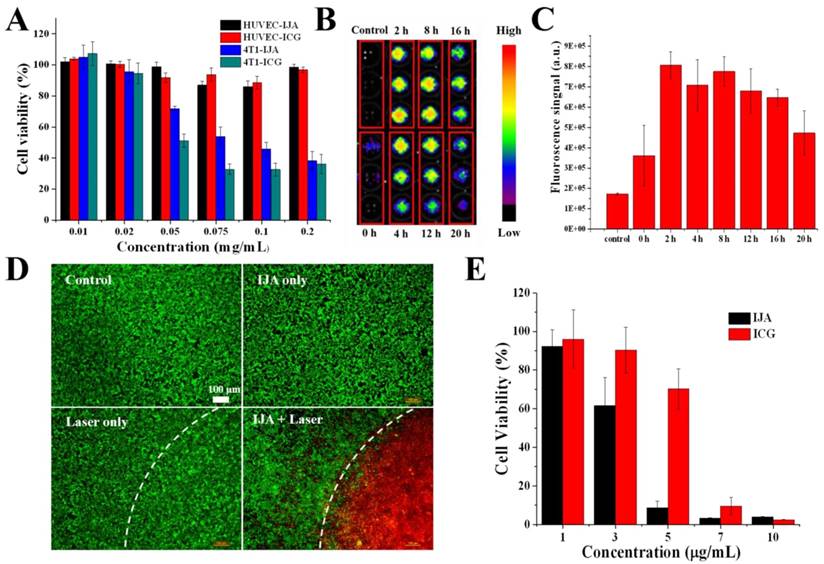 Nanotheranostics Image